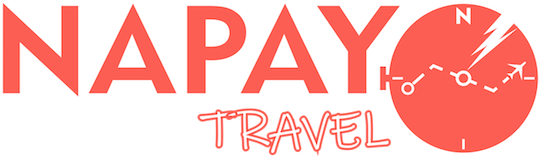 Napay Travel Logo